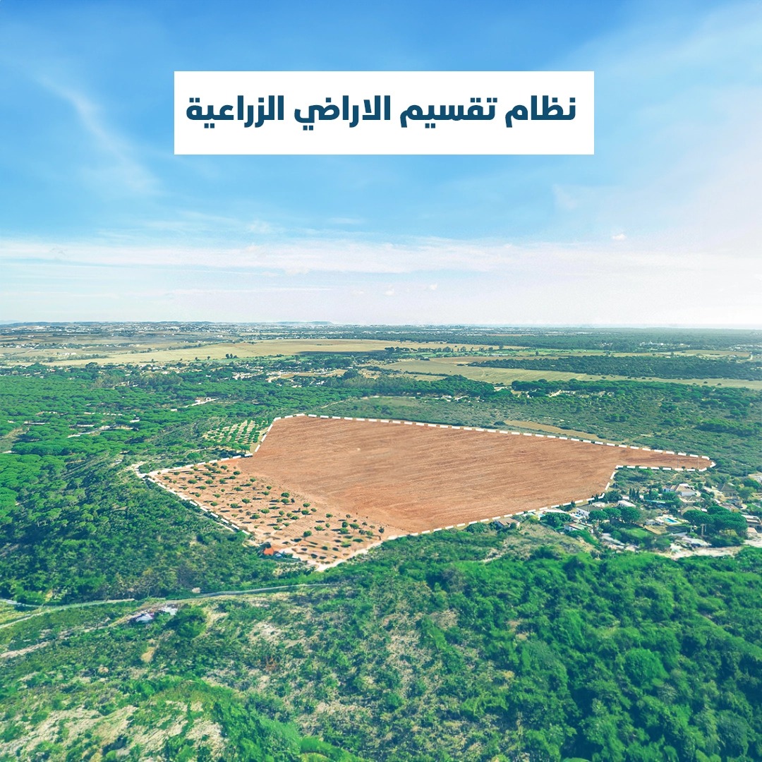 Read more about the article نظام تقسيم الاراضي الزراعية